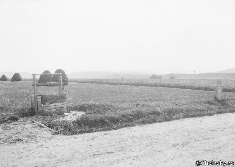 AF707.jpg