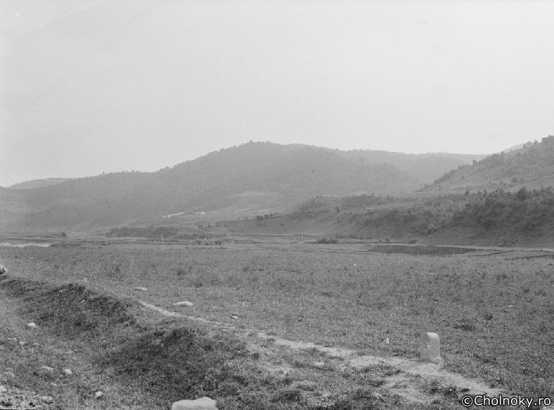 BN708.jpg