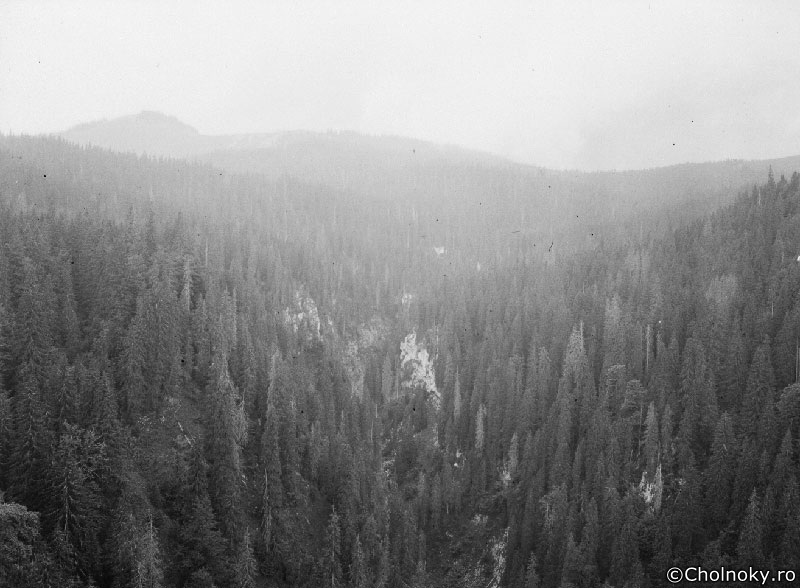 Bih706.jpg Bih706.jpg