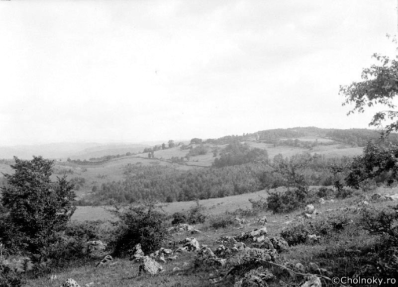 Bih729.jpg