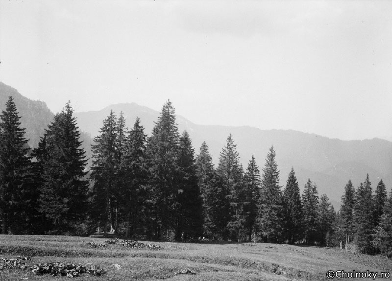 Br7033.jpg Br7033.jpg