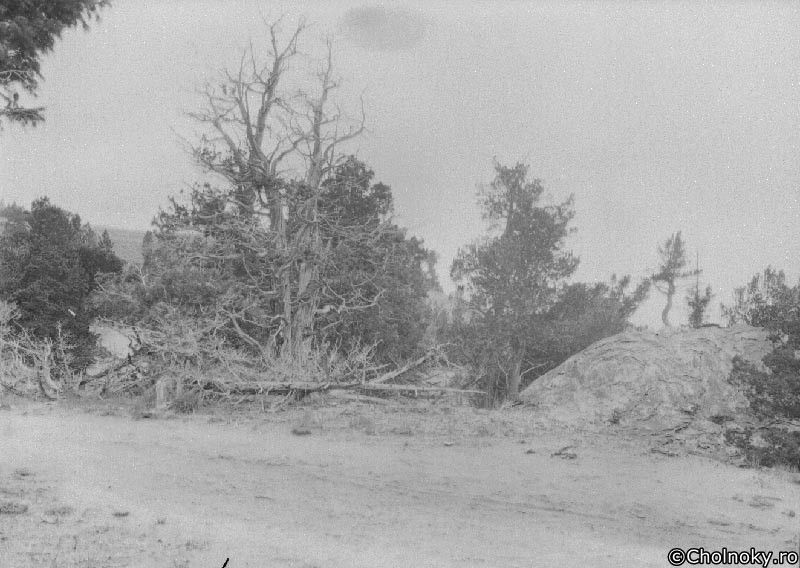 USA7104.jpg USA7104.jpg