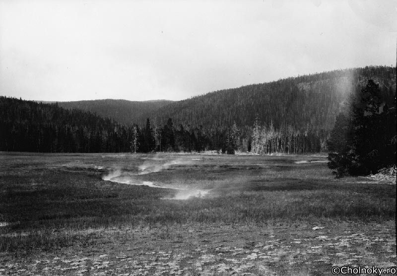 USA7128.jpg USA7128.jpg