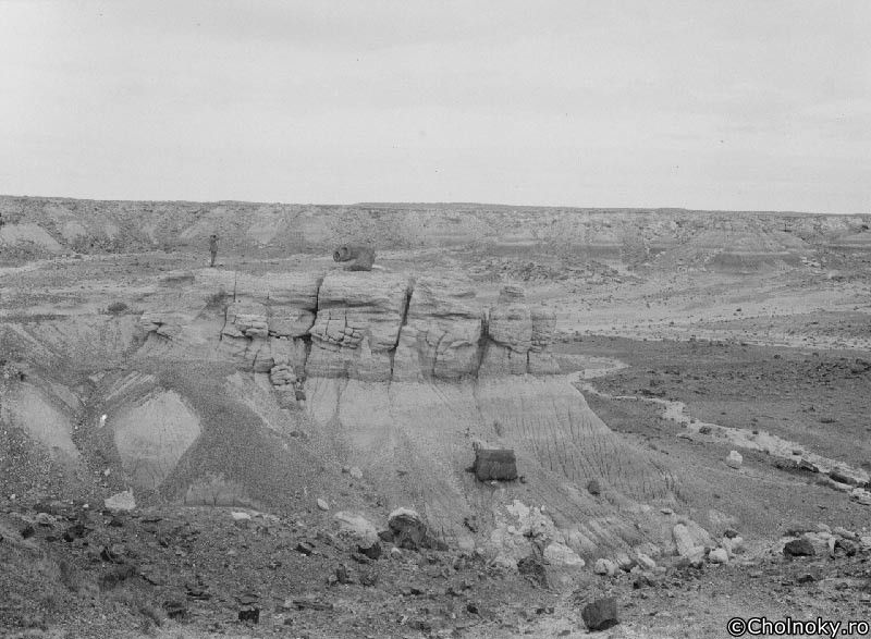 USA7415.jpg USA7415.jpg