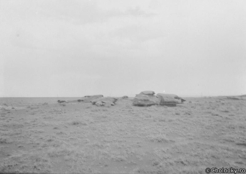 USA7425.jpg USA7425.jpg