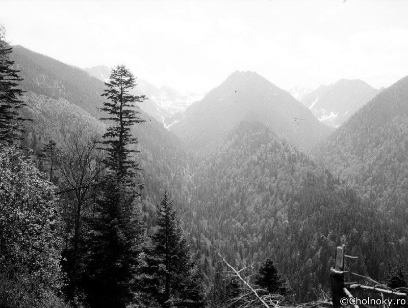 Fog703.jpg Fog703.jpg