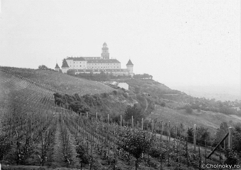 Gy107.jpg