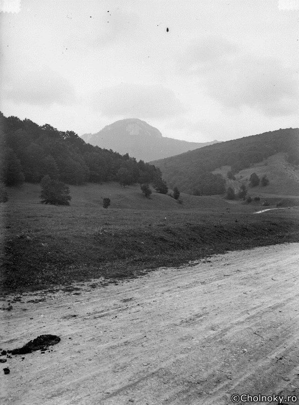 Br124.jpg