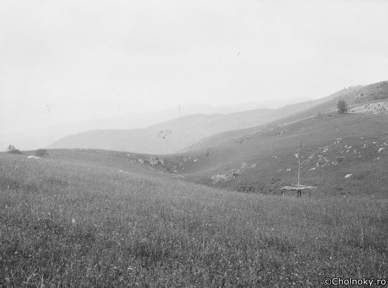 Hu708.jpg