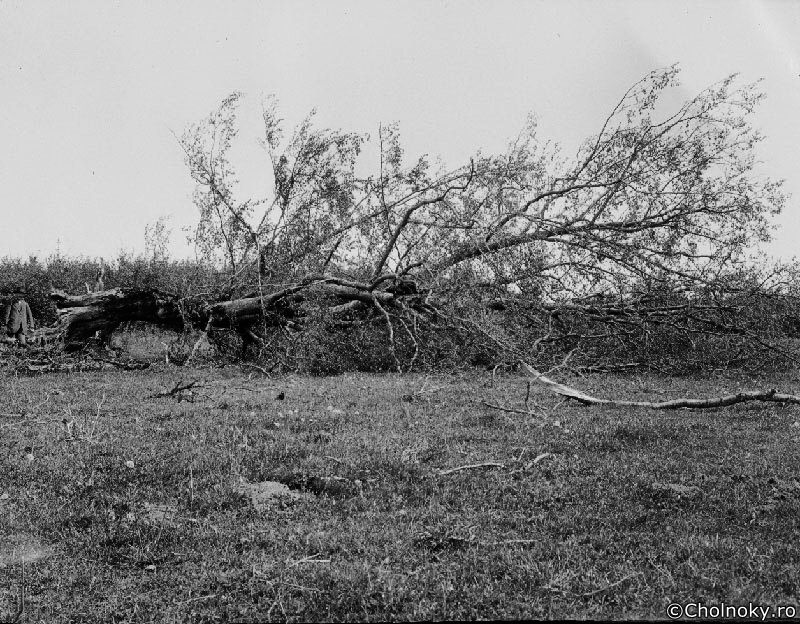 Kol7119.jpg Kol7119.jpg