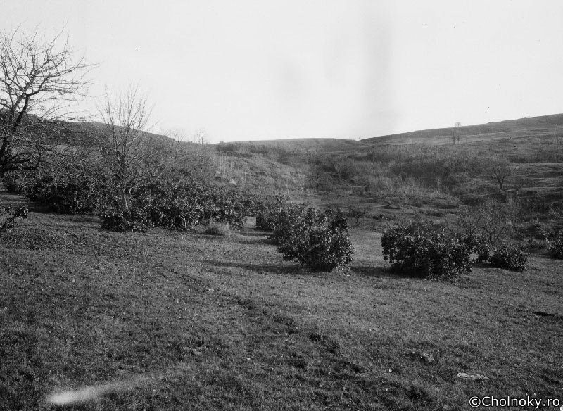 Kol7146.jpg Kol7146.jpg