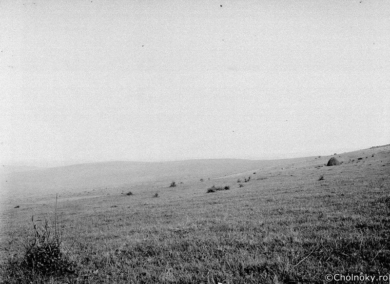 Kol1104.jpg