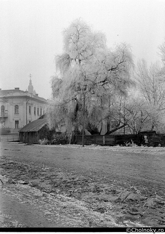 Kol1127.jpg
