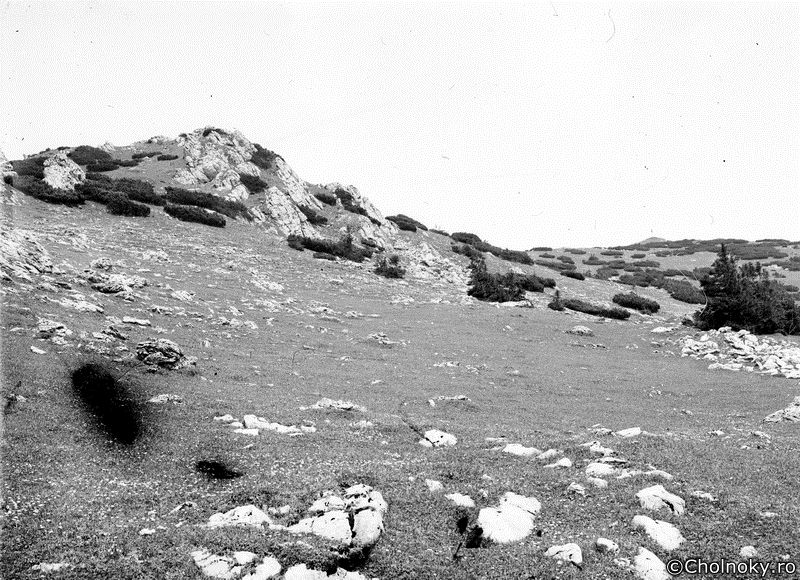 Li103.jpg