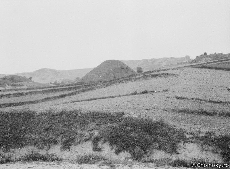MT713.jpg