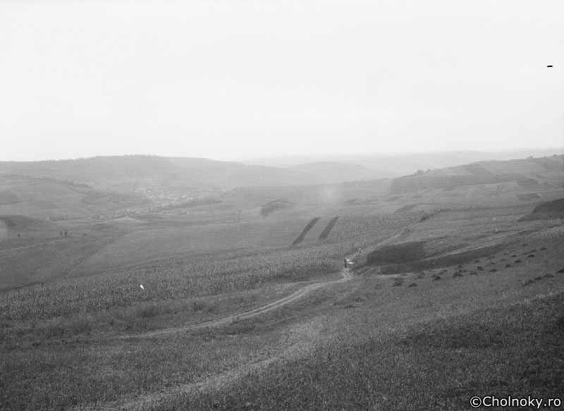MT717.jpg