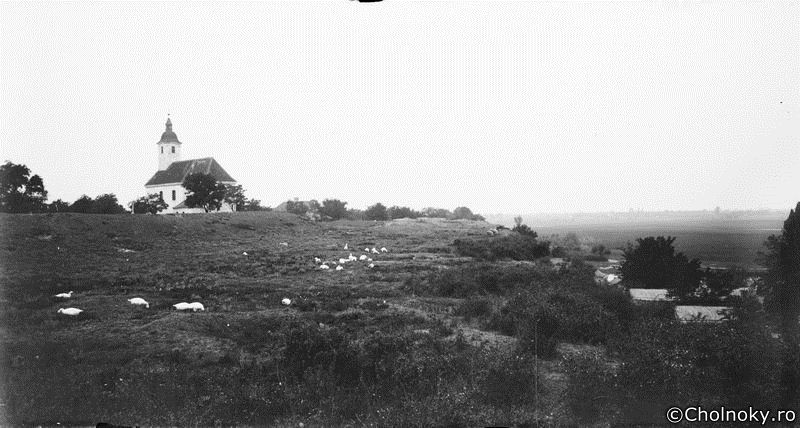 PP203.jpg