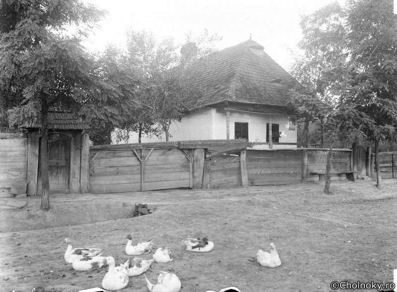 SzM109.jpg