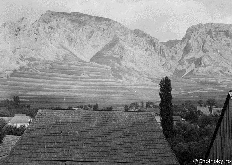 TA7011.jpg TA7011.jpg