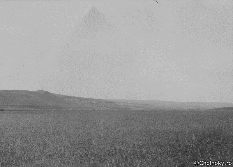TA7122.jpg