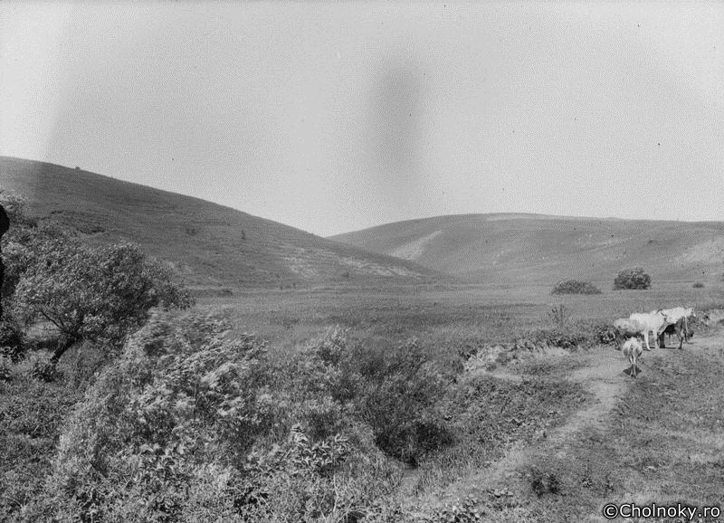TA7127.jpg