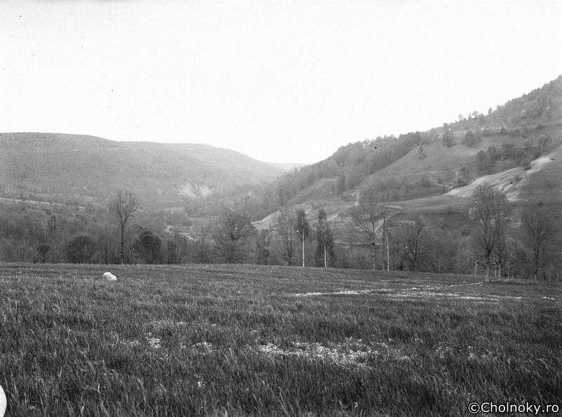 Udv102.jpg