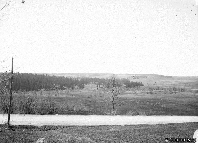 Udv114.jpg