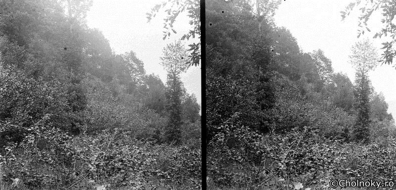 Udv209.jpg Udv209.jpg