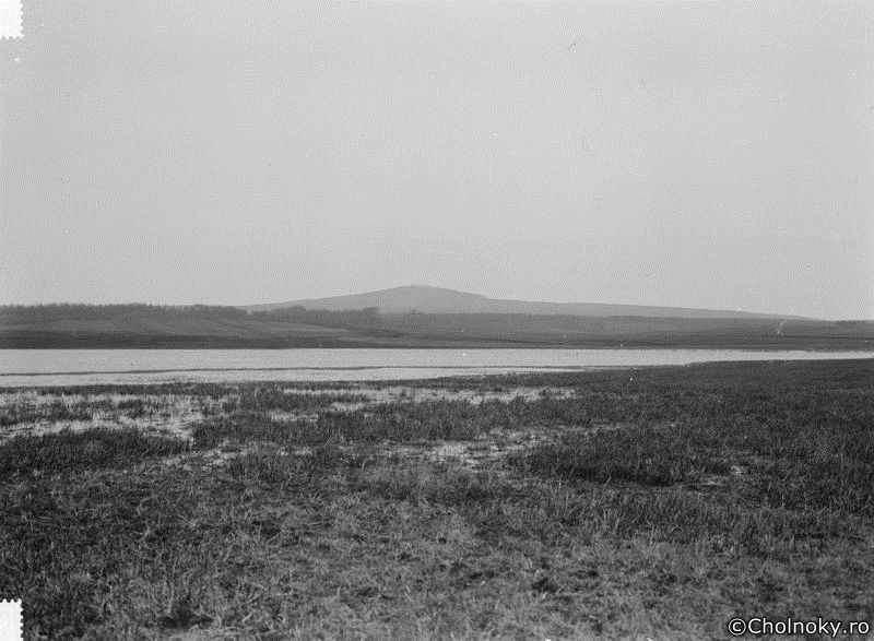 Ve103.jpg