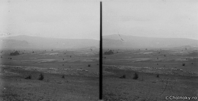 Za276.jpg