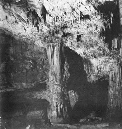 Bih229.gif Bih229.gif