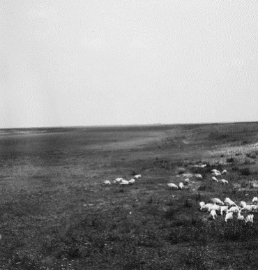 Cso205.gif Cso205.gif