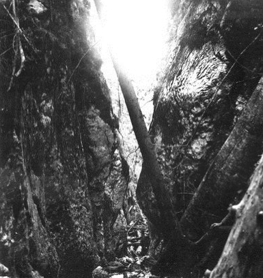 Fog204.gif Fog204.gif