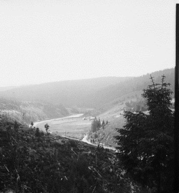 Kol254.gif Kol254.gif