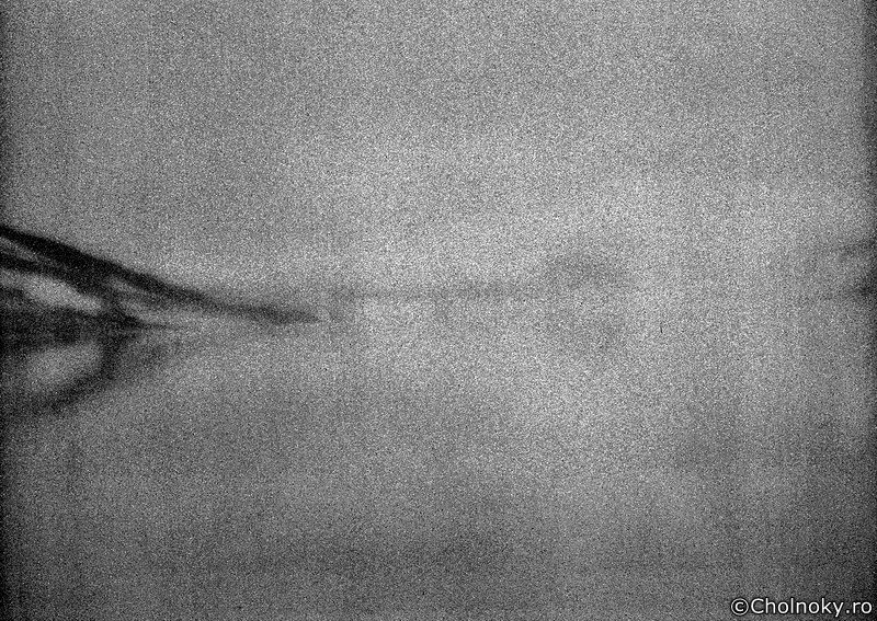Spb715.jpg