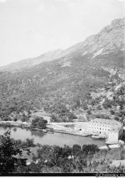 Dal111.jpg