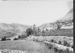 Dal114.jpg