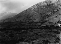 USA7343.jpg