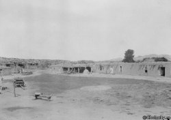 USA7396.jpg