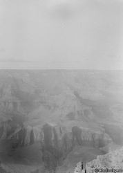 USA7459.jpg