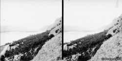 Ro207.jpg